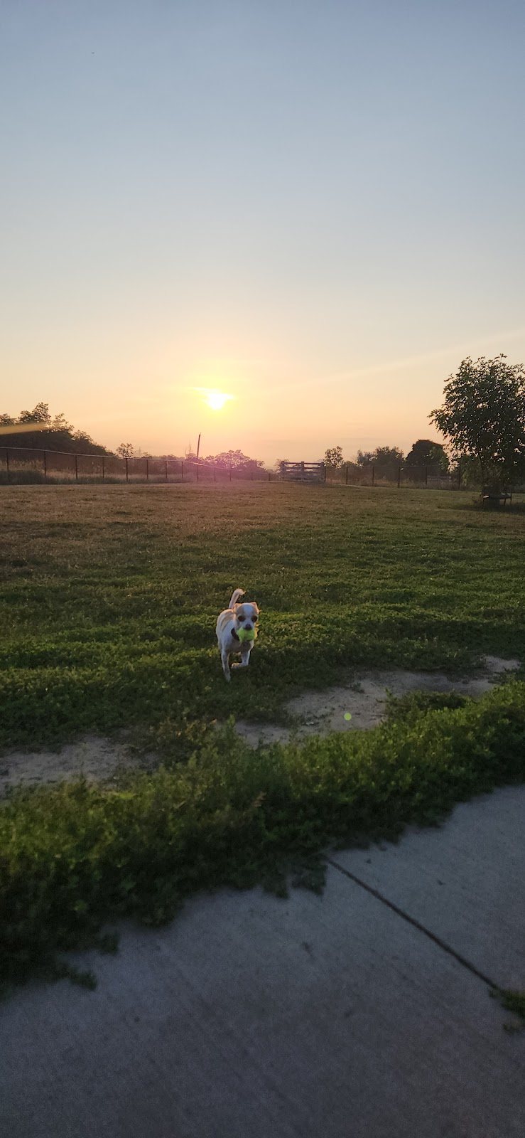 Leash Free Dog Park dog park in Burlington, Ontario