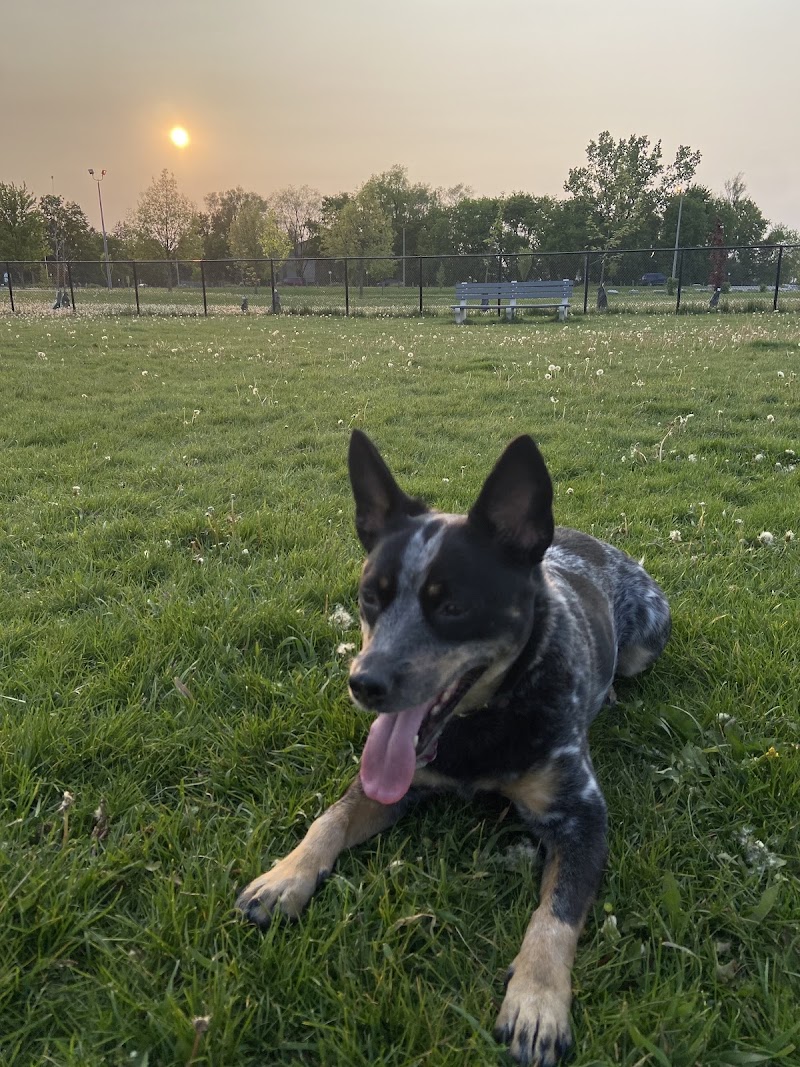Joe Sam’s Dog Park dog park in Hamilton, Ontario