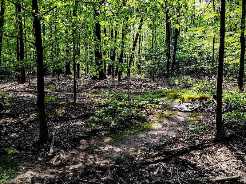 Heritage Green Sports Park dog park in Stoney Creek, Ontario