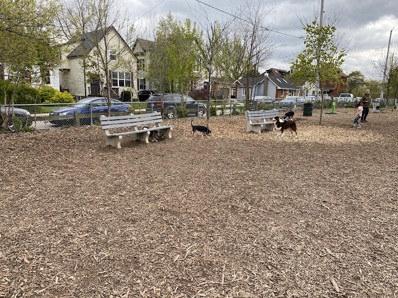 Hill Street Park dog park in Hamilton, Ontario