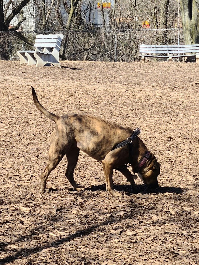 Hill Street Park dog park in Hamilton, Ontario