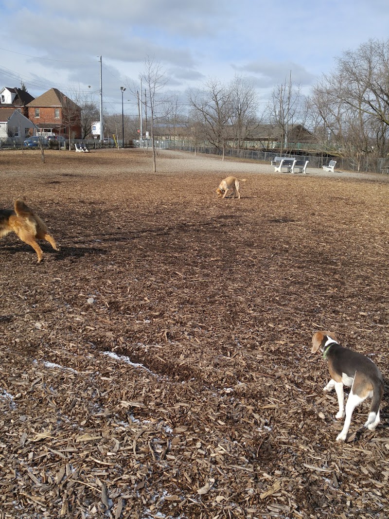 Hill Street Park dog park in Hamilton, Ontario