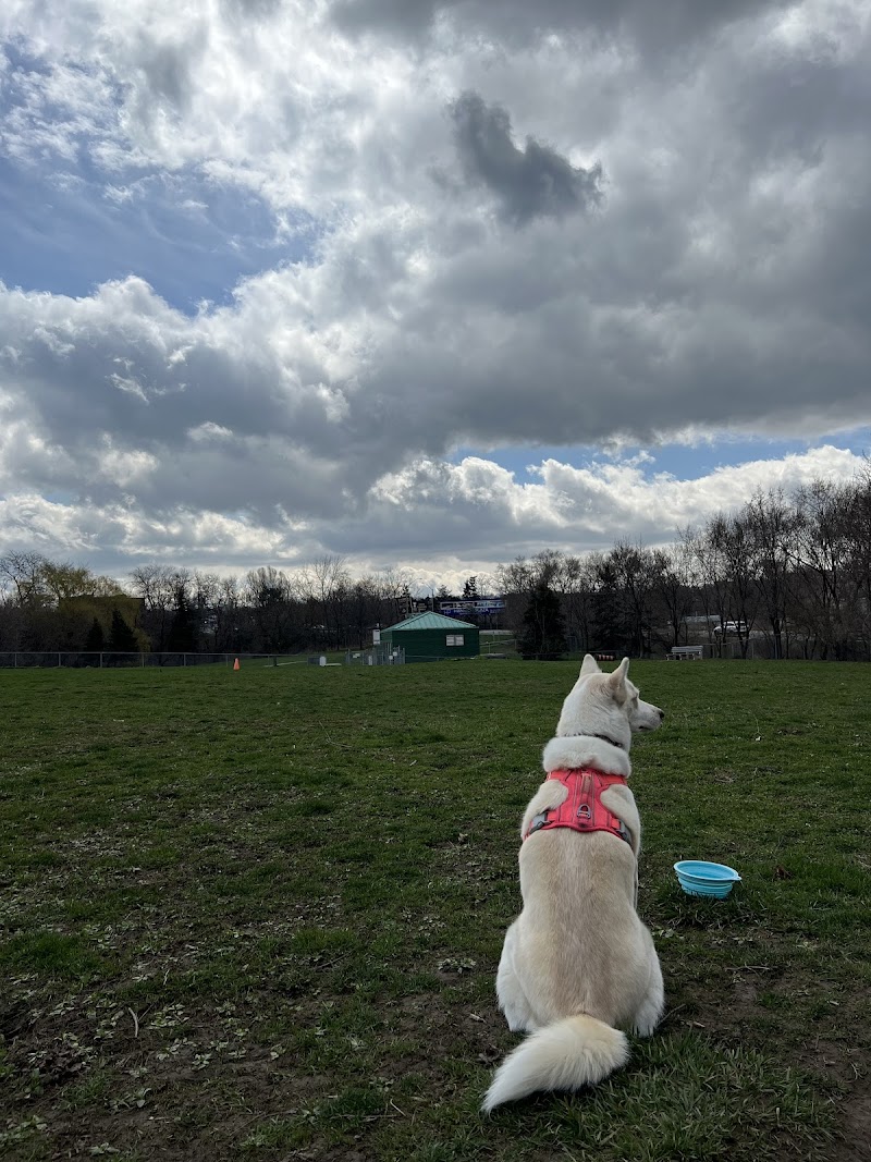 Cathedral Park dog park in Hamilton, Ontario