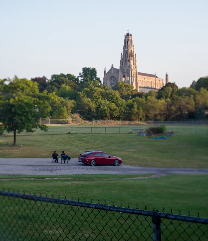 Cathedral Park dog park in Hamilton, Ontario