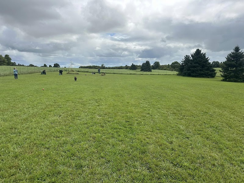 Country Canines Play Park - Hamilton dog park in Hamilton, Ontario