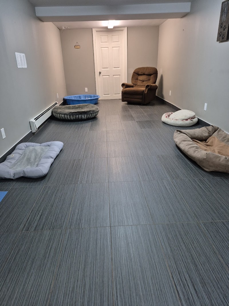 Rachelle's fully enclosed private backyard Pay to Play dog park in Hannon, Ontario