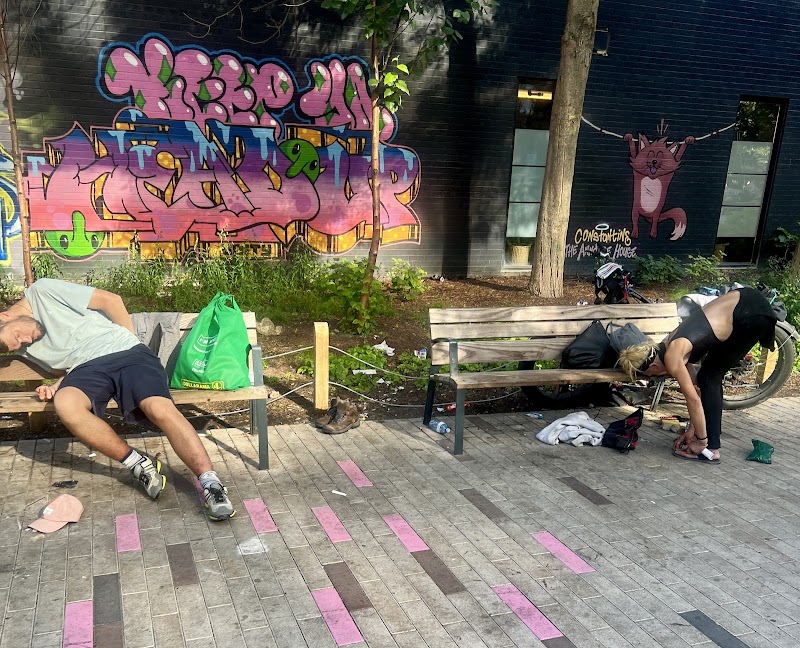 Barney's Fountain dog park in Toronto, Ontario